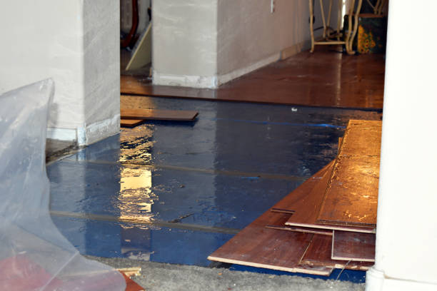 Professional Water Damage Restoration technician working in Silver Lake, NH